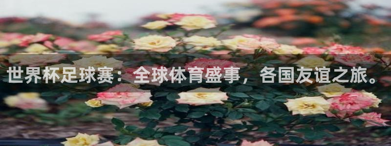 世界杯足球赛：全球体育盛事，各国友谊之旅。