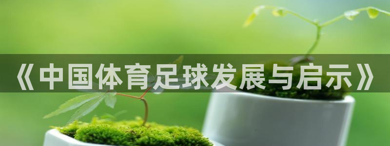 《中国体育足球发展与启示》