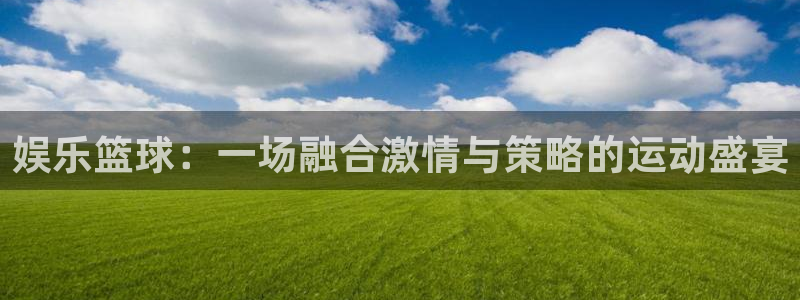 娱乐篮球：一场融合激情与策略的运动盛宴