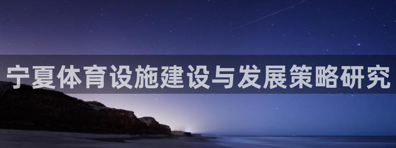 宁夏体育设施建设与发展策略研究