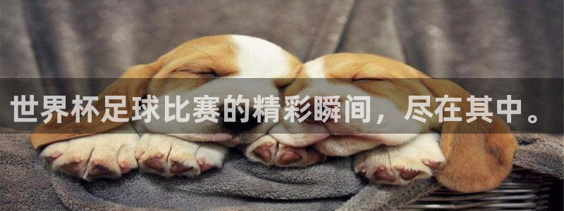 世界杯足球比赛的精彩瞬间，尽在其中。