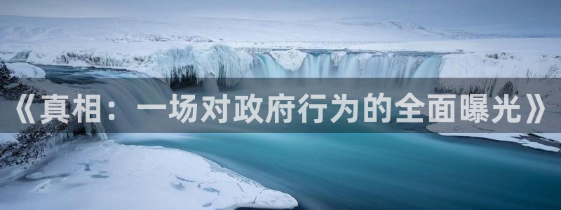 《真相：一场对政府行为的全面曝光》
