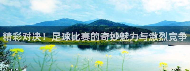 精彩对决！足球比赛的奇妙魅力与激烈竞争