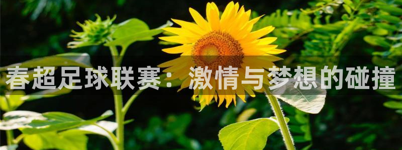 春超足球联赛：激情与梦想的碰撞