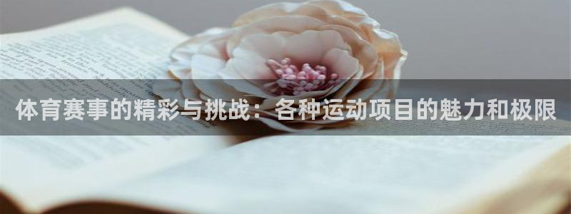 体育赛事的精彩与挑战：各种运动项目的魅力和极限