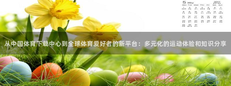 从中国体育下载中心到全球体育爱好者的新平台：多元化的运动体验和知识分享