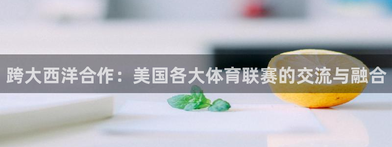 跨大西洋合作：美国各大体育联赛的交流与融合