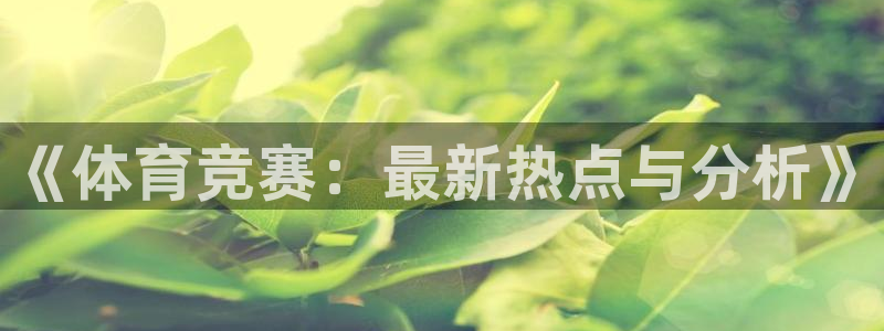 《体育竞赛：最新热点与分析》
