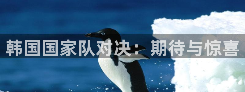 韩国国家队对决：期待与惊喜