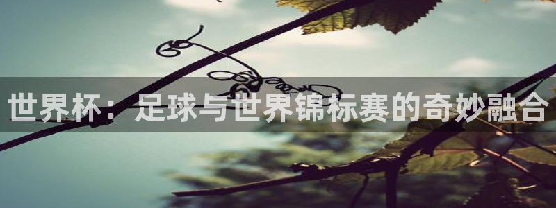 世界杯：足球与世界锦标赛的奇妙融合