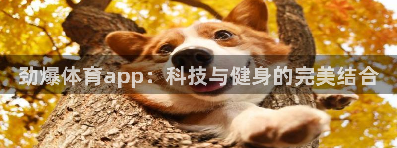 劲爆体育app：科技与健身的完美结合