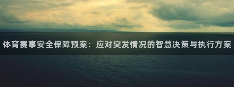 体育赛事安全保障预案：应对突发情况的智慧决策与执行方案